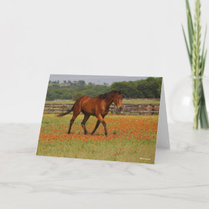 Carte Baie Thoroughbred Horse Walking Flowers