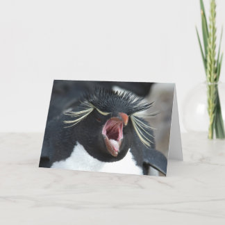 Carte Bâillement de Rockhopper