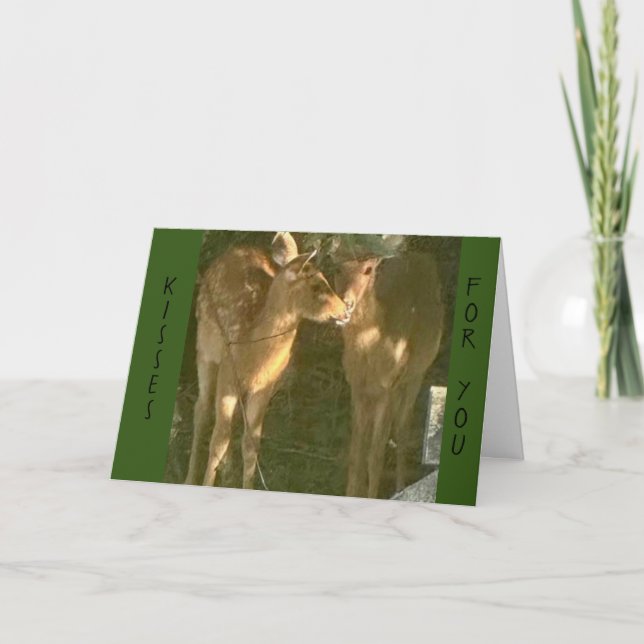 CARTE **BAISER D'ANNIVERSAIRE** DE VOUS S'IL VOUS PLAÎT  (Devant)