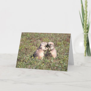 Carte Baiser les chiens des Prairies