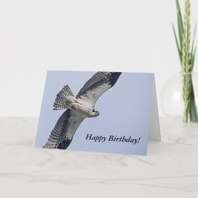 Carte Balbuzard en vol (Devant)