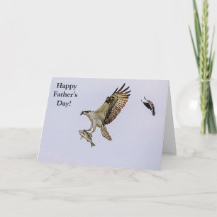 Carte Balbuzard pêché par un oiseau-noir à ailes rouges