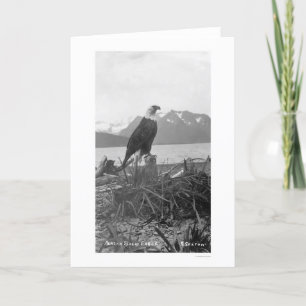 Carte Bald Eagle Alaska 1920