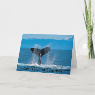 Carte Baleine à bosse, la vie est pleine de surprises, l