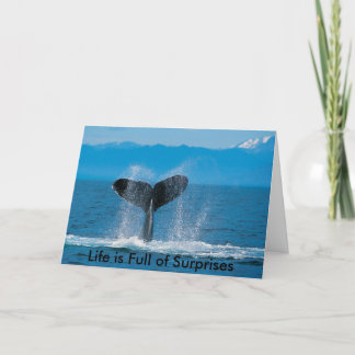 Carte Baleine à bosse, la vie est pleine de surprises, l