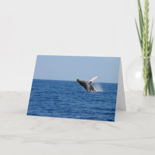 Carte Baleine d'un moment
