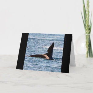 Carte Baleine tueuse John Coe personnalisable Orque de l