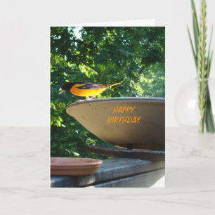 Carte Baltimore Oriole, anniversaire