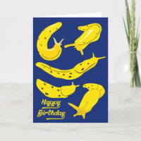 Banana Slugs Jaune et Royal Blue Anniversaire