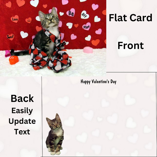 Carte Bandit's The Cat's Valentine's Day Flat Card (Créateur téléchargé)