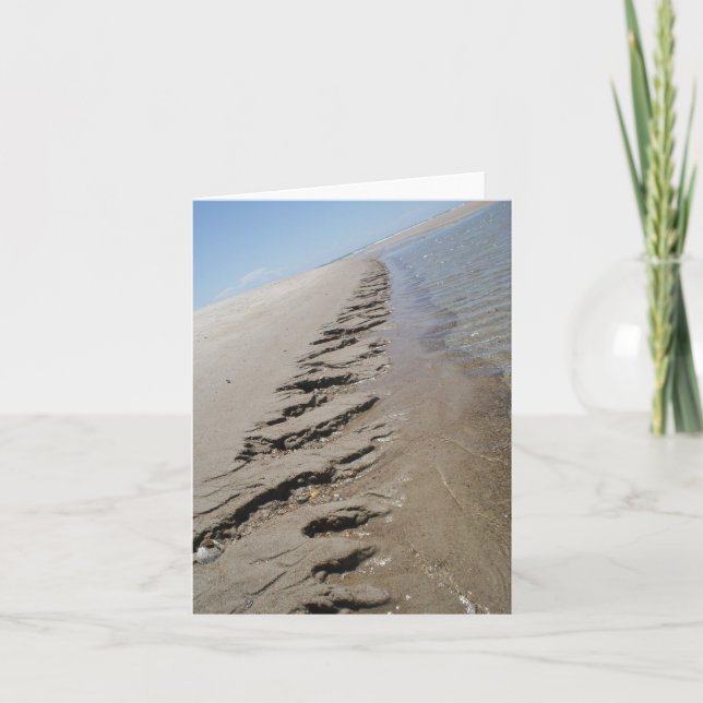 Carte Banques externes de la Caroline du Nord d'île de (Devant)