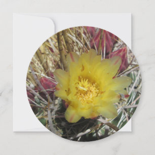 Carte Baril Cactus Fishhook Jaune