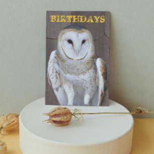 Carte Barn Owl Photo Funny Birthday Card