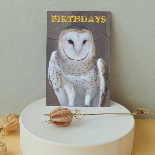 Carte Barn Owl Photo Funny Birthday Card (In Situ)