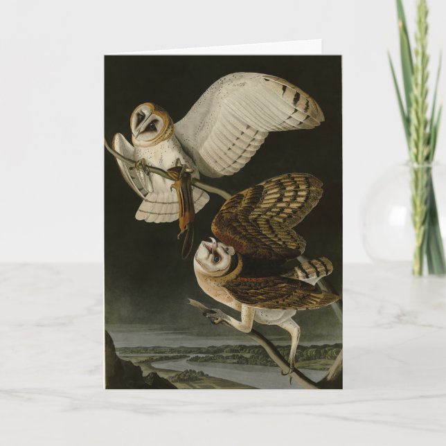 Carte Barn Owl (Tyto alba) Audubon's Birds of America (Devant)