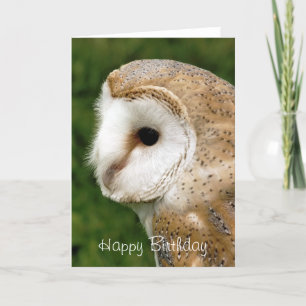 CARTE BARN OWLS