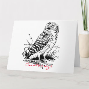 Carte Barne Owl Thunder_Cove