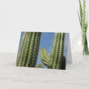 Carte Barrel Cactus I Desert Photo