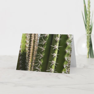 Carte Barrel Cactus II Désert Nature Photo