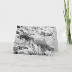 Carte Basalt Lava Rocks in Desert, Black and White Photo