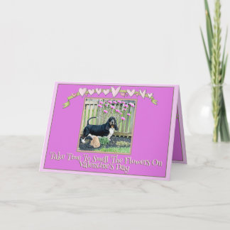 Carte Basset & Flowers on Funny Valentine's Day Card