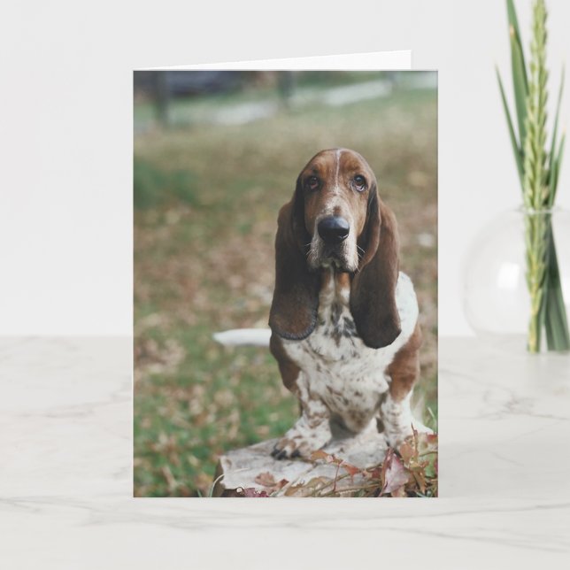 Carte Basset Hound (Devant)