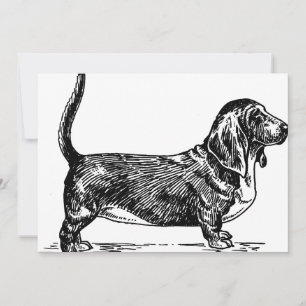 Carte basset hound dessin.png