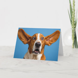 Carte Basset Hound Surpris Anniversaire