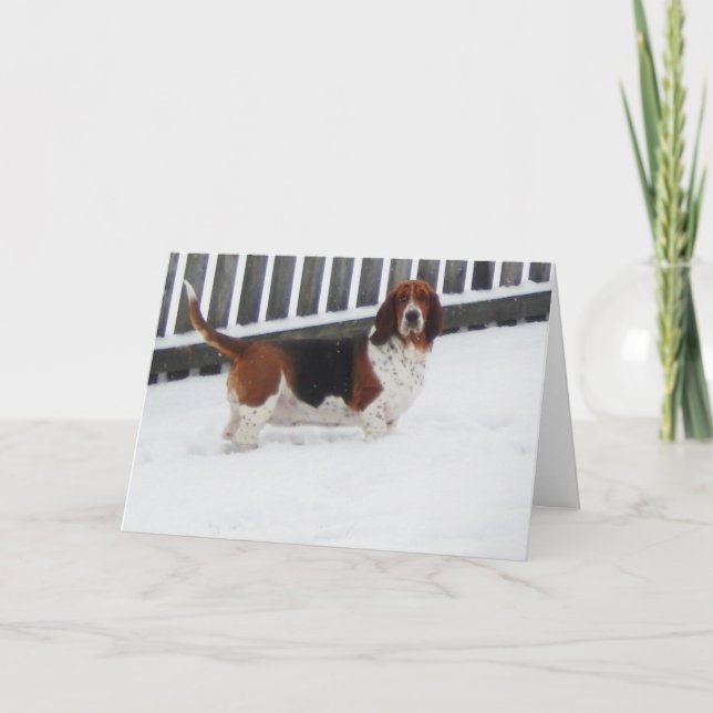 Carte "Basset Hounds in the Wild", les "Basset Hounds in (Devant)