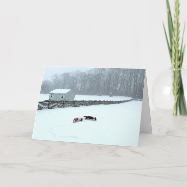 Carte "Basset Hounds in the Wilds" series greeting (Devant)