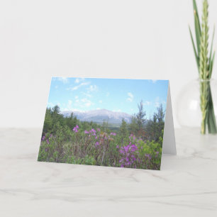 Carte Bâti Katahdin et fleurs sauvages