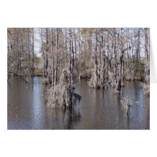 Carte Bayou Louisiana