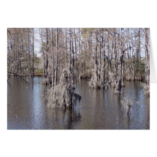 Carte Bayou Louisiana (Devant horizontal)