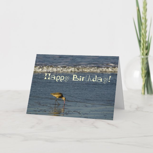 Carte Beach Bird Joyeux Anniversaire 4 (Devant)