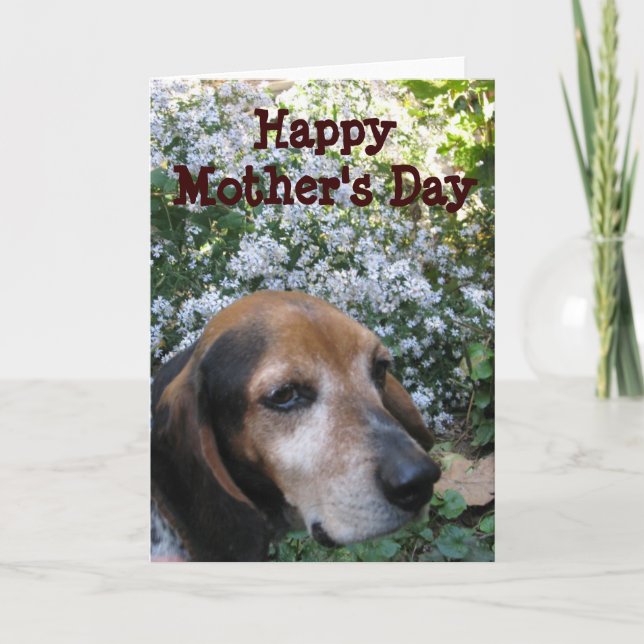 Carte Beagle (Devant)