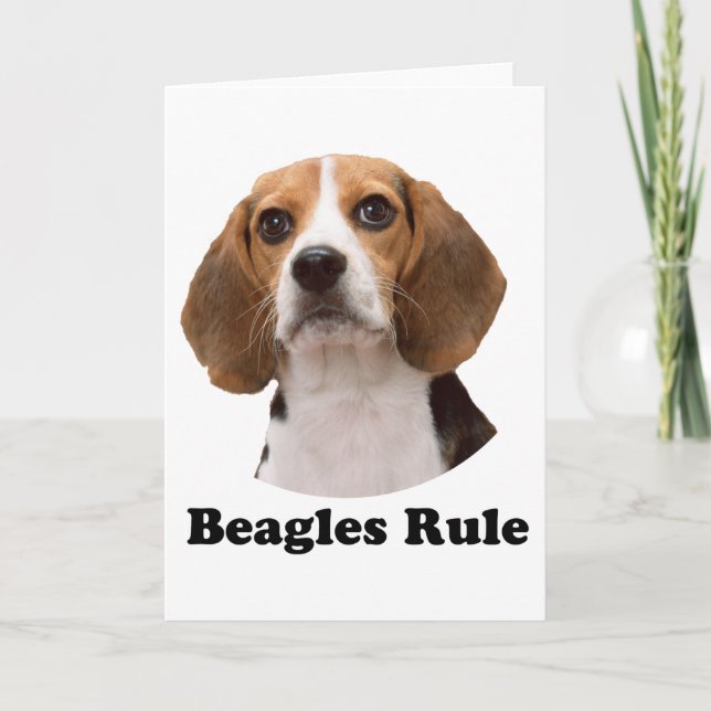 Carte Beagle (Devant)