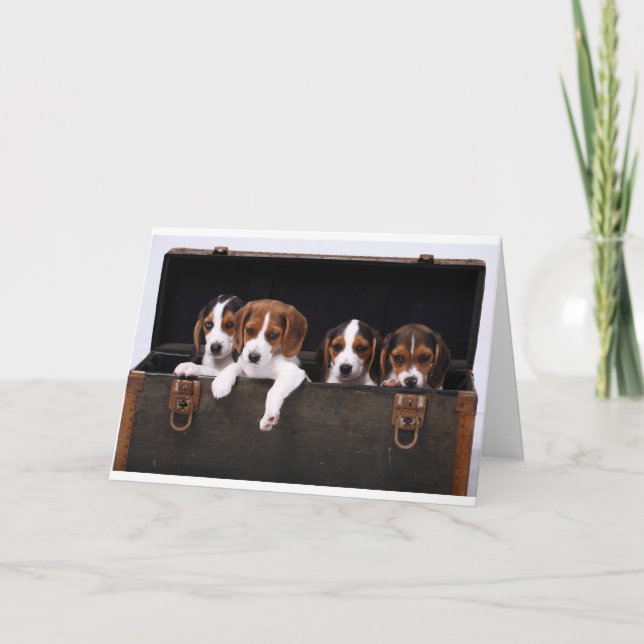 Carte Beagle (Devant)