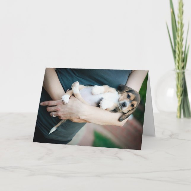 Carte Beagle Babe En Armes (Devant)