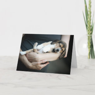 Carte Beagle Bébé Dormir Dans Les Armes