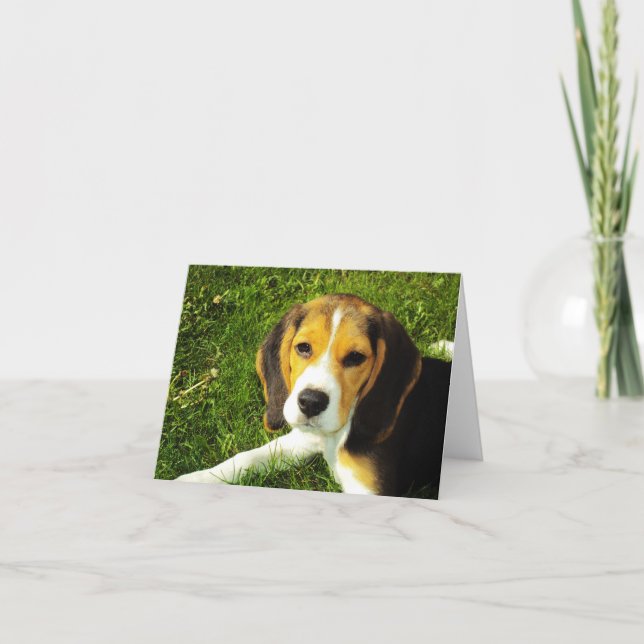 Carte beagle de notes de marionnettes (Devant)
