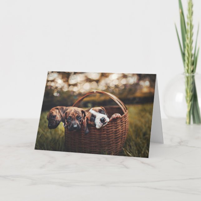 Carte Beagle Hound Aile Chien Chien Chien Chien Chien Ch (Devant)