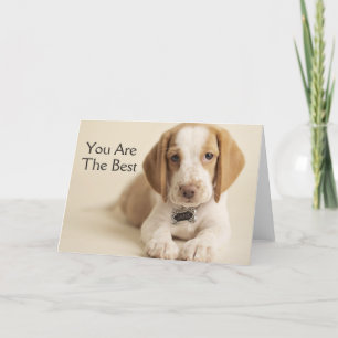 Carte Beagle Puppy