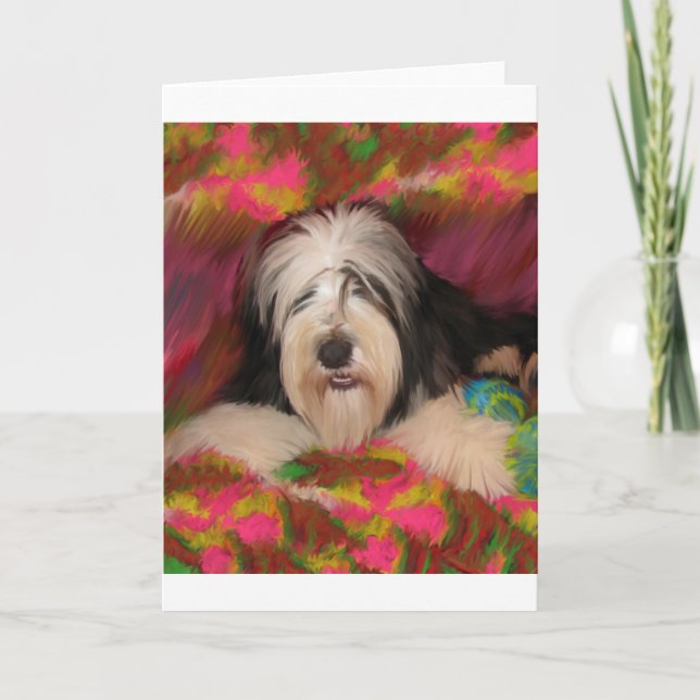 Carte Bearded Collie (Devant)