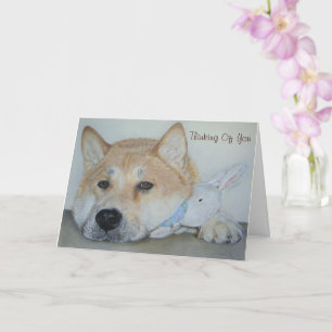 Carte beau beau chien akita pensant à vous