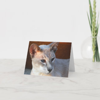 Carte Beau Bleu Bleu Eyes