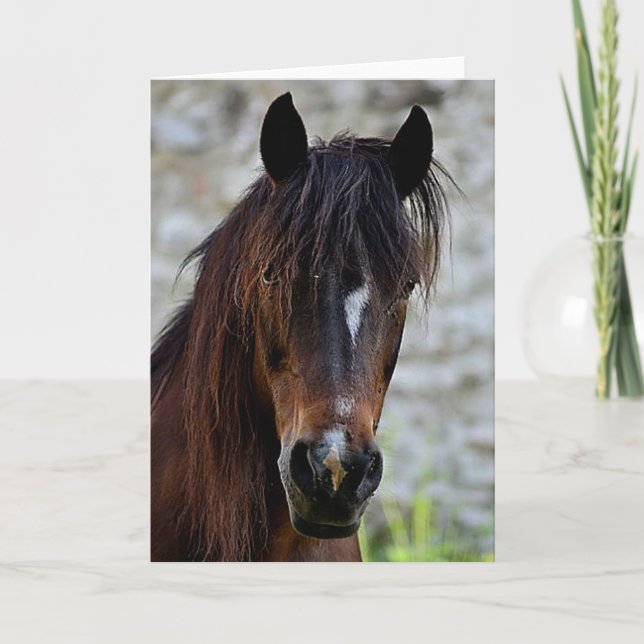 Carte Beau cheval Brown (Devant)