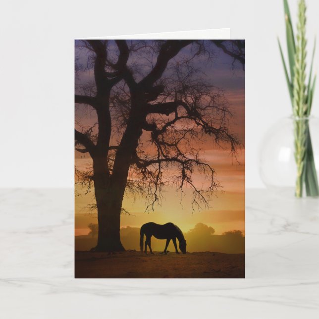Carte Beau Cheval dans Sud-Ouest Sunset Anniversaire (Devant)