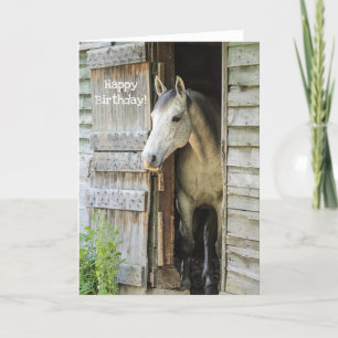 Carte Beau Cheval Gris Mare Personnalisé Joyeux Annivers