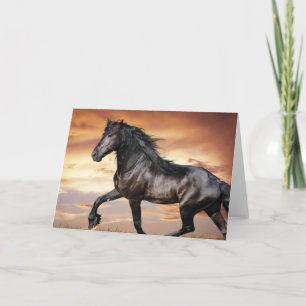 Carte Beau Cheval Noir