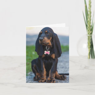 Carte Beau Coonhound N'importe quelle occasion